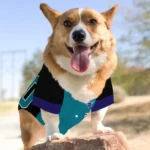personalized-charlotte-hornets-tail-hem-teal-black-pet-jersey-best-selling.webp