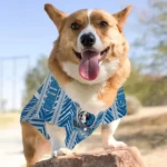 personalized-dallas-mavericks-vivid-chevron-blue-pet-jersey-best-selling.webp