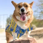 personalized-golden-state-warriors-vivid-chevron-blue-pet-jersey-best-selling.webp