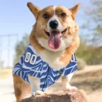 personalized-golden-state-warriors-wavy-energy-blue-pet-jersey-best-selling.webp