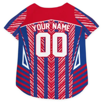 Personalized Los Angeles Clippers Vivid Chevron Red Dog Jersey