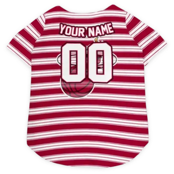 Personalized Miami Heat Button Front Red White Dog Jersey