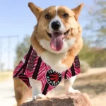 personalized-toronto-raptors-vivid-chevron-red-pet-jersey-best-selling.webp