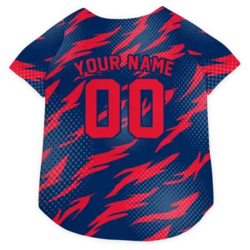 Personalized Washington Wizards Lightning Streaks Blue Dog Jersey