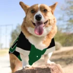 custom-green-black-tail-hem-classic-style-dog-jersey-personalized-name-and-number-best-selling.webp