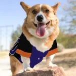 custom-purple-black-tail-hem-classic-style-dog-jersey-personalized-name-and-number-best-selling.webp
