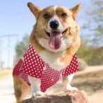 custom-red-chevron-polka-classic-style-dog-jersey-personalized-name-and-number-best-selling.webp