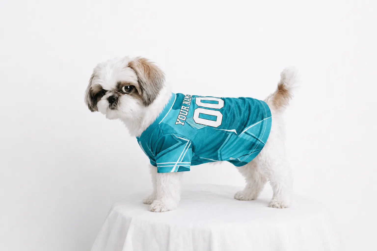 nbafanitems banner 1